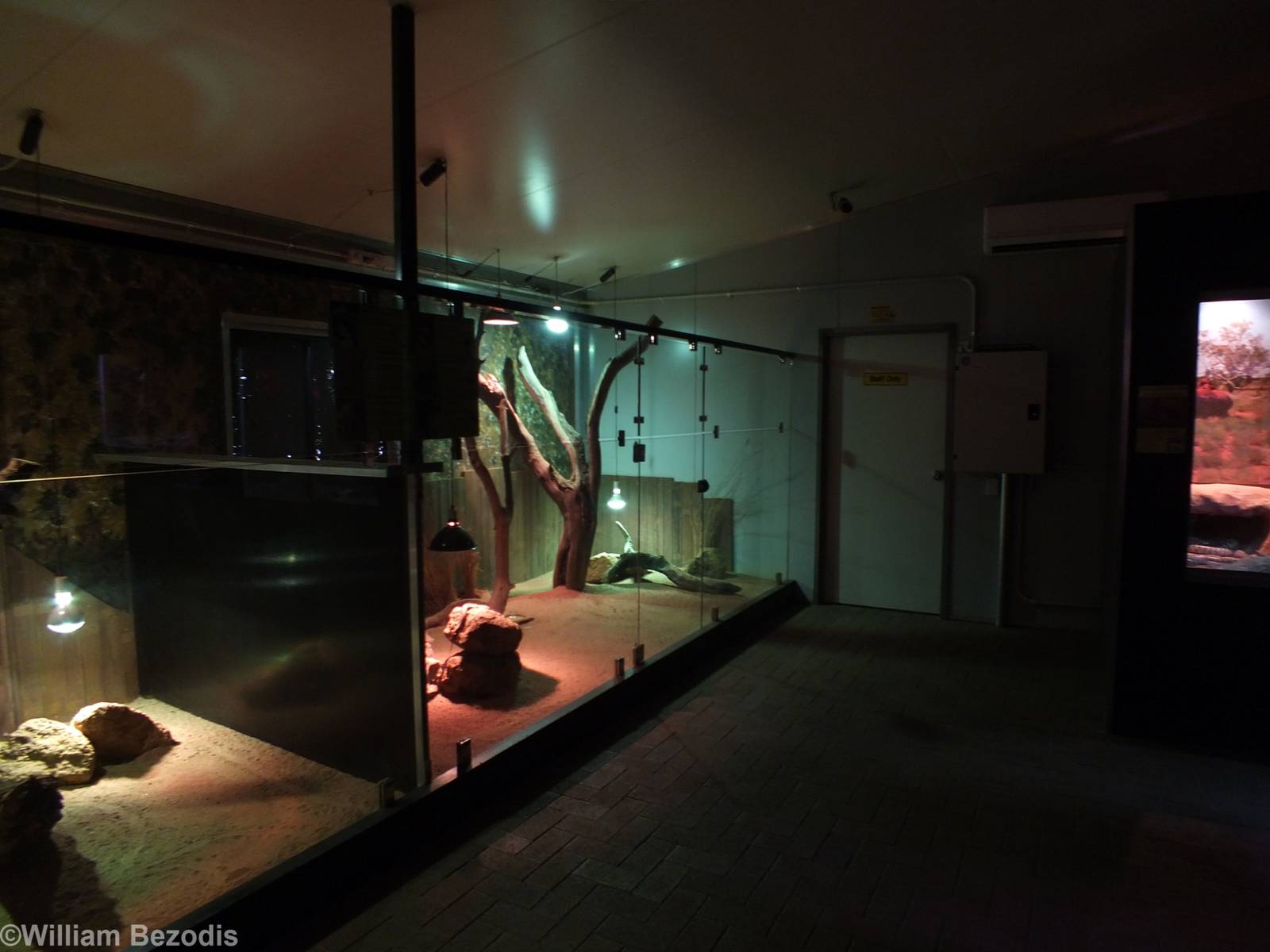 View in the Reptile House - Caversham Wildlife Park