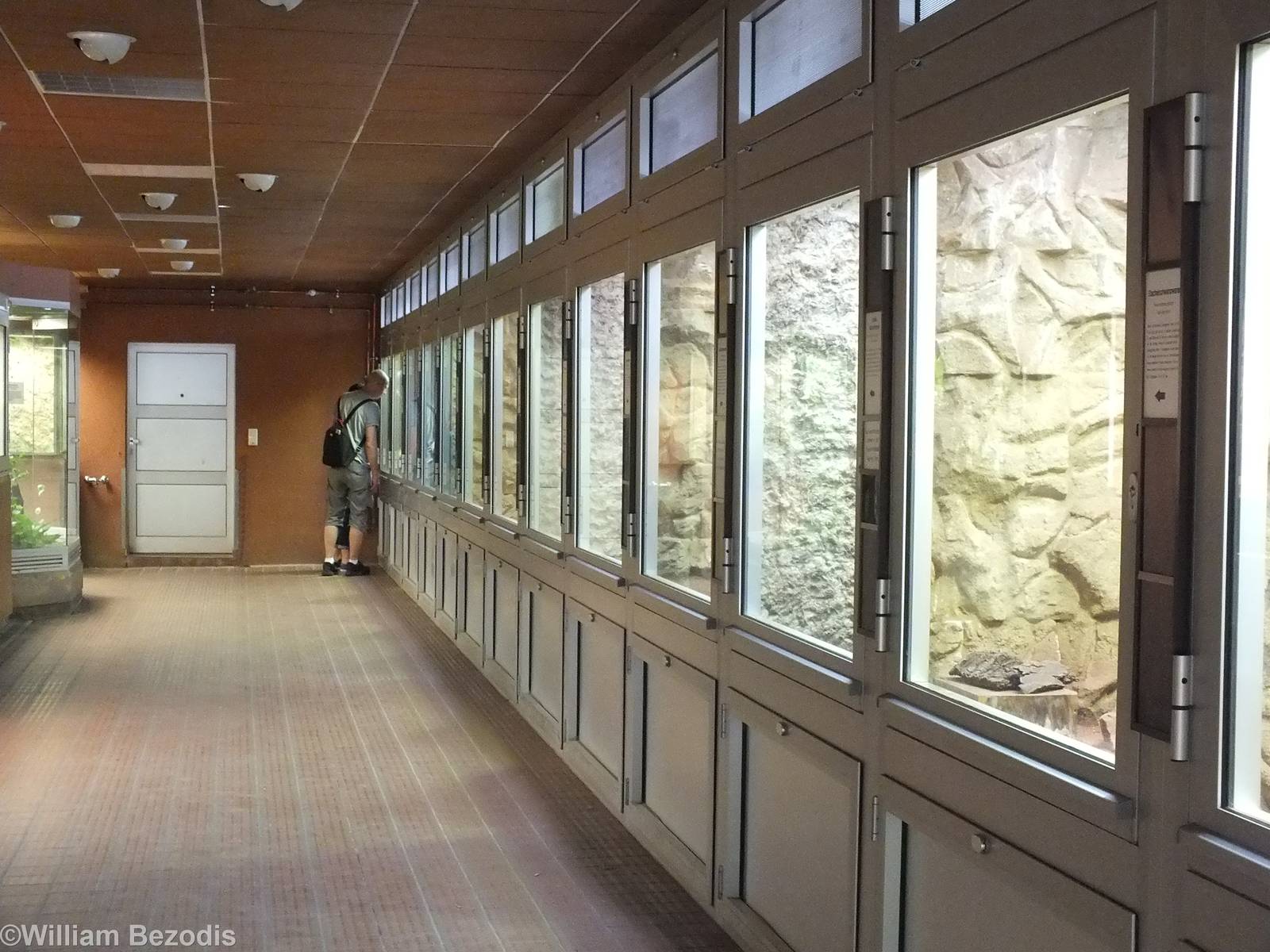 View in the Reptile House