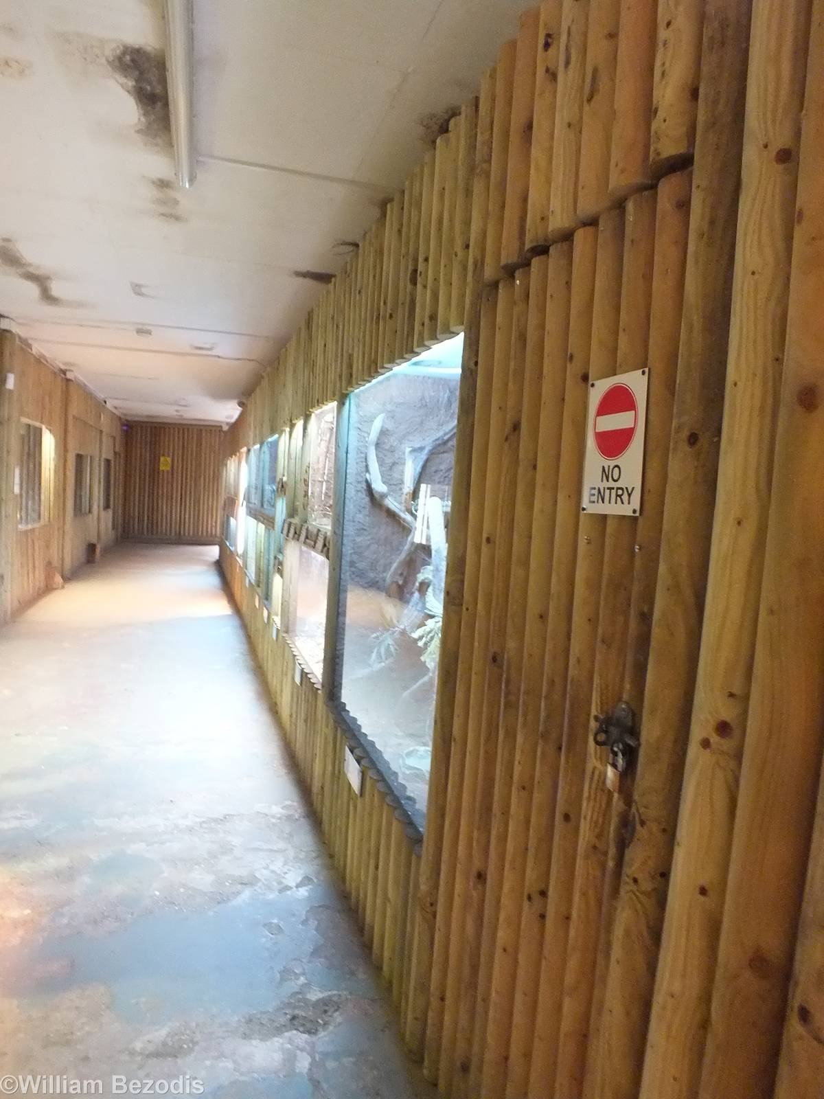 View in the Reptile House