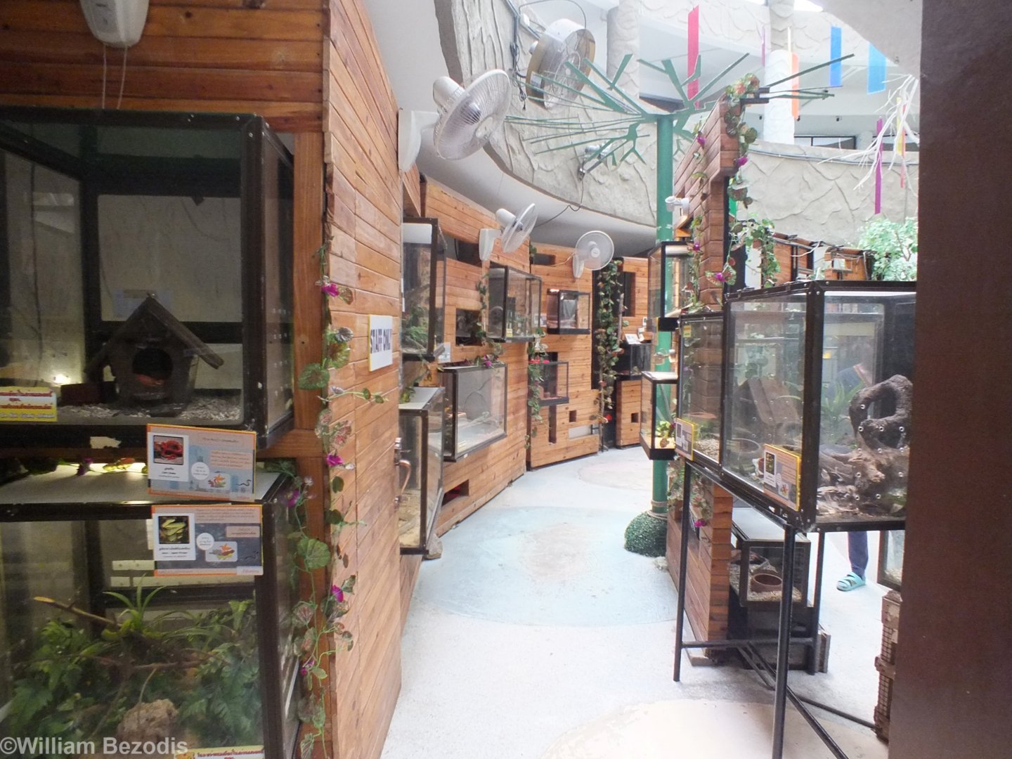 View in the Reptile House