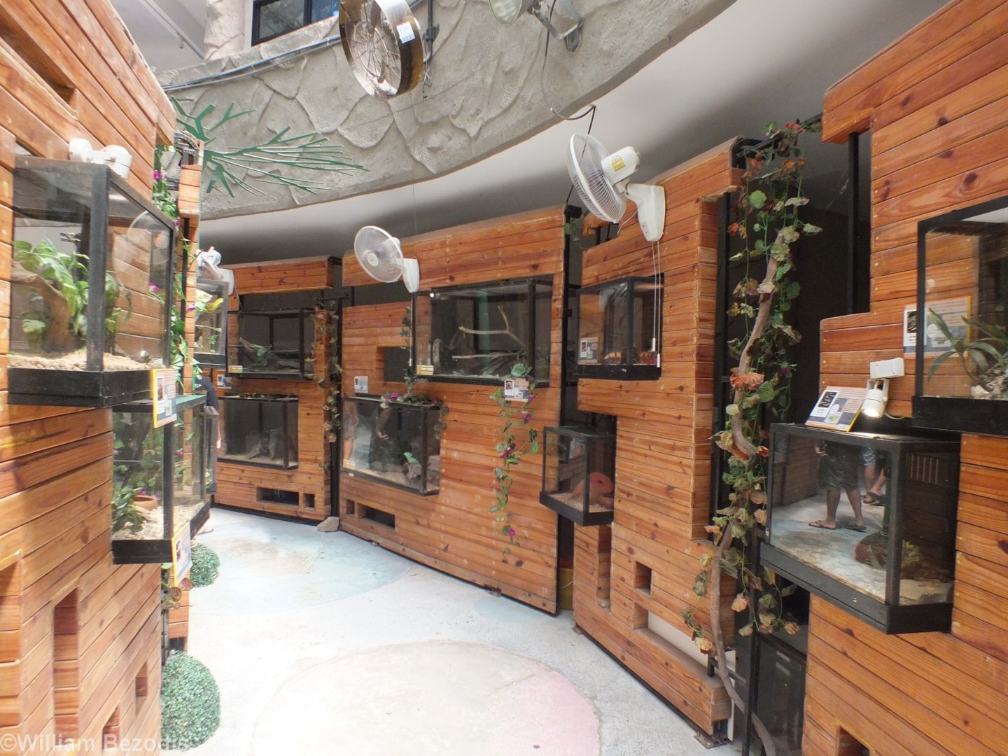 View in the Reptile House