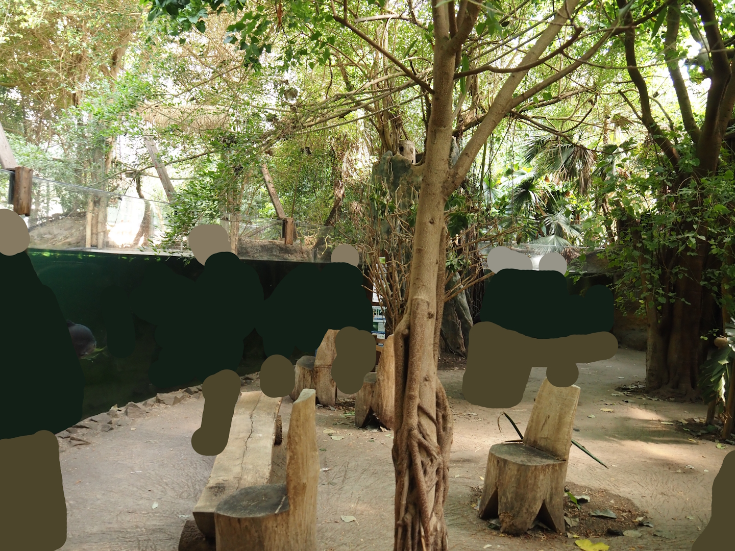 View in the Rio Negro house, 2024-06-08