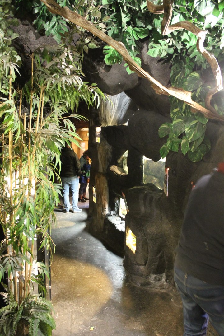 View in the Serpentarium