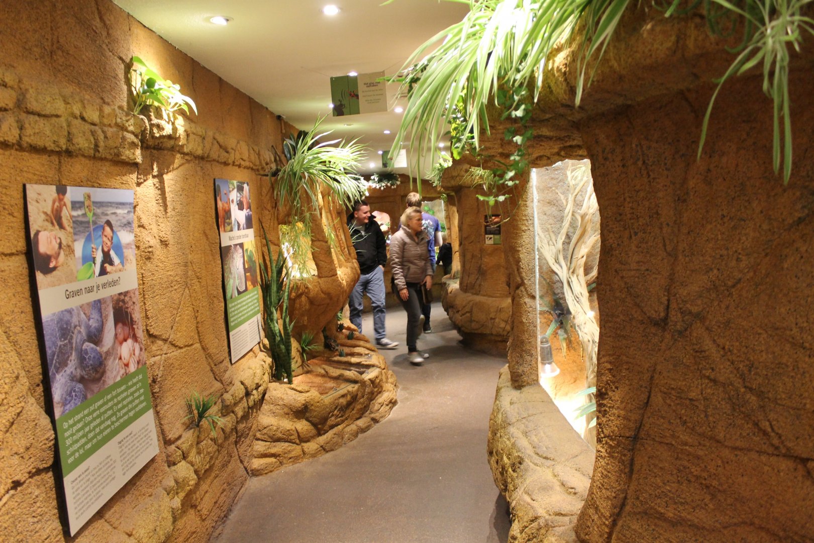 View in the Serpentarium