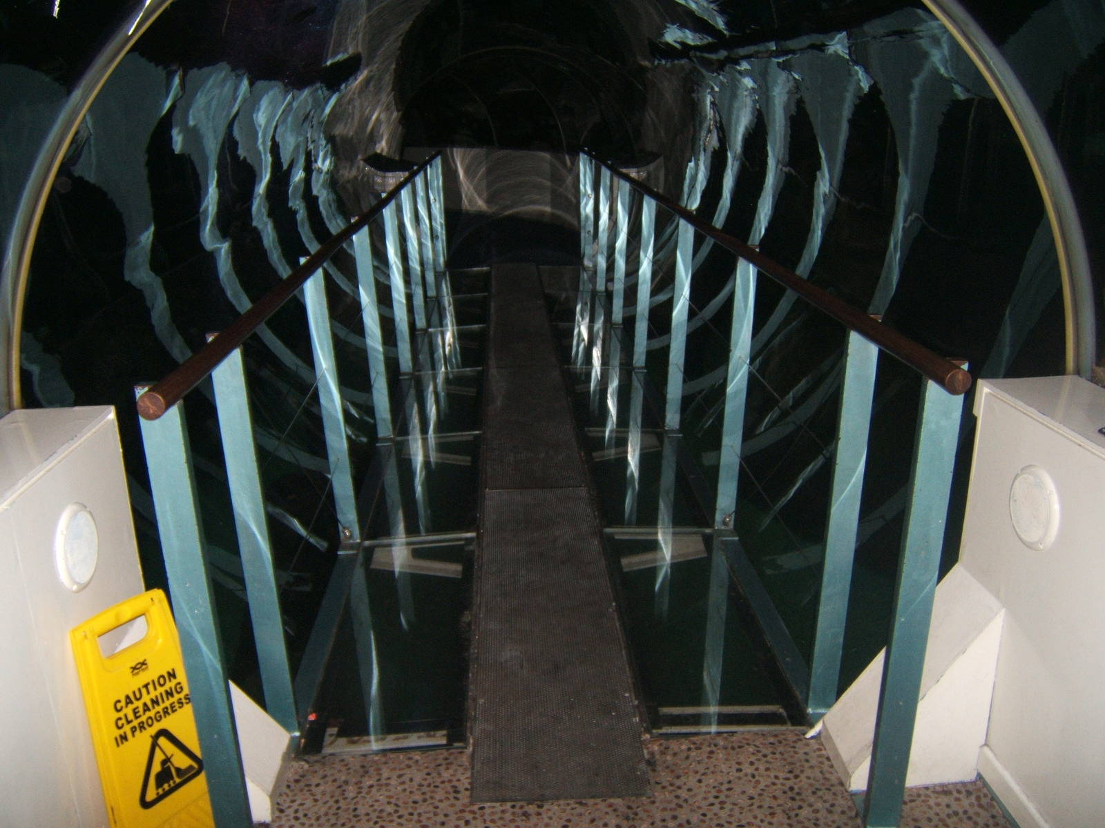 View in the shark tunnel