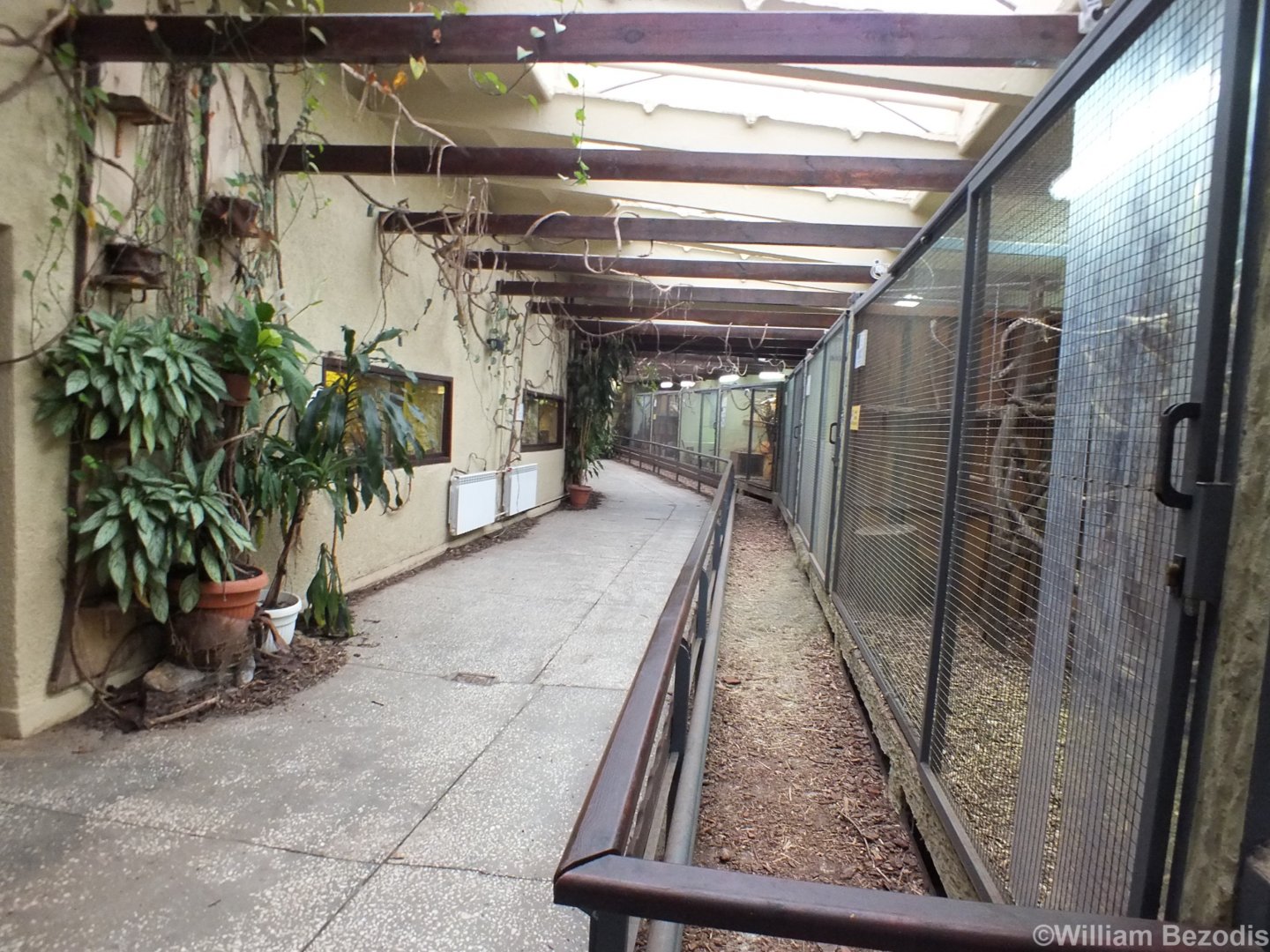 View in the Small Mammal House