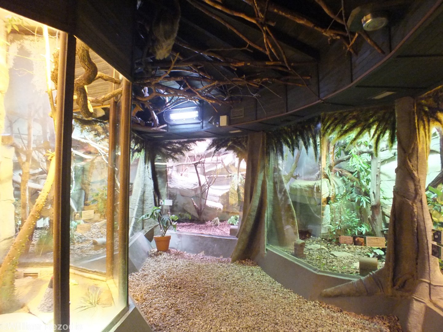 View in the Small Primates/South America Building