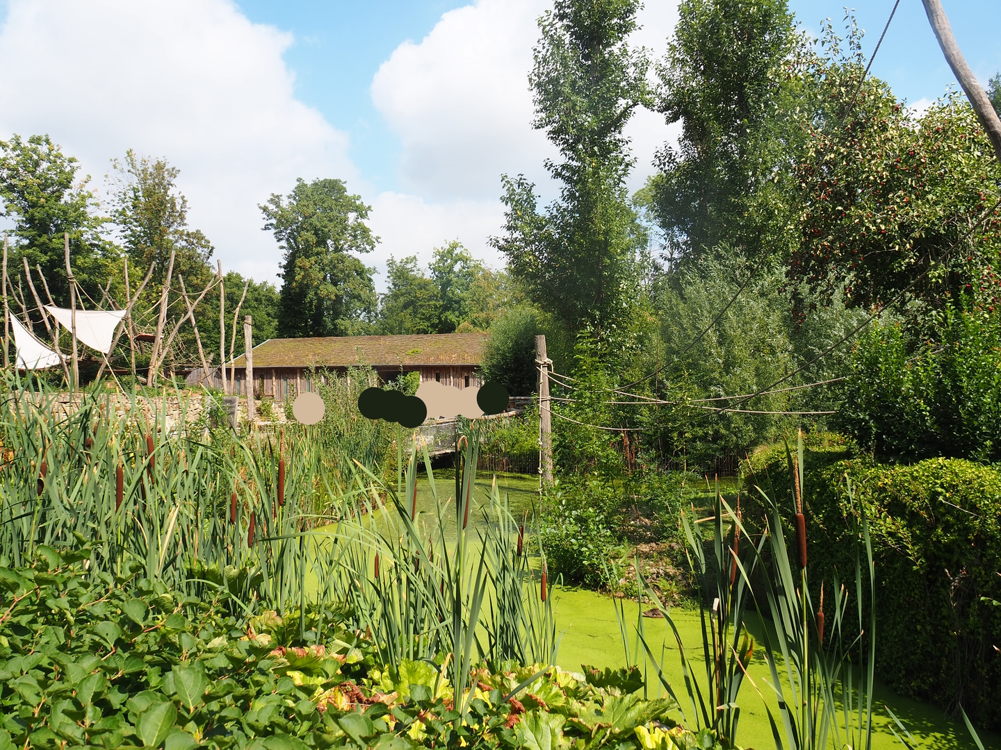 View in the South American primate and capybara area, 2022-08-20