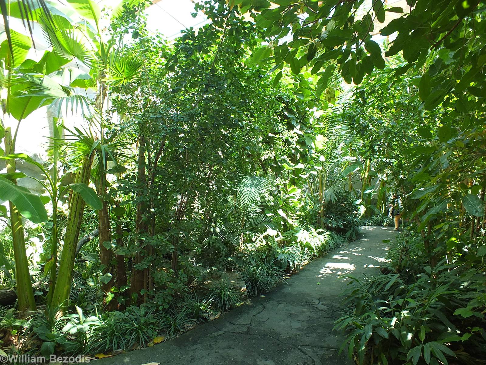 View in the South East Asian Free-flight