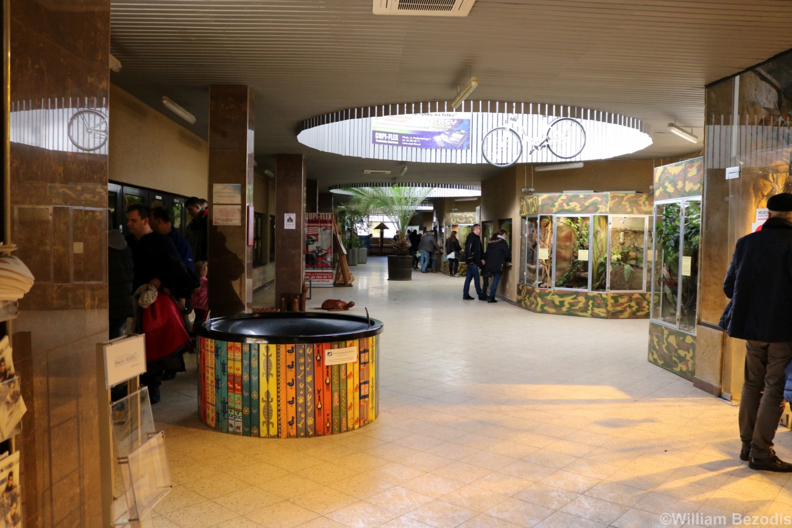 View in the Terrarium