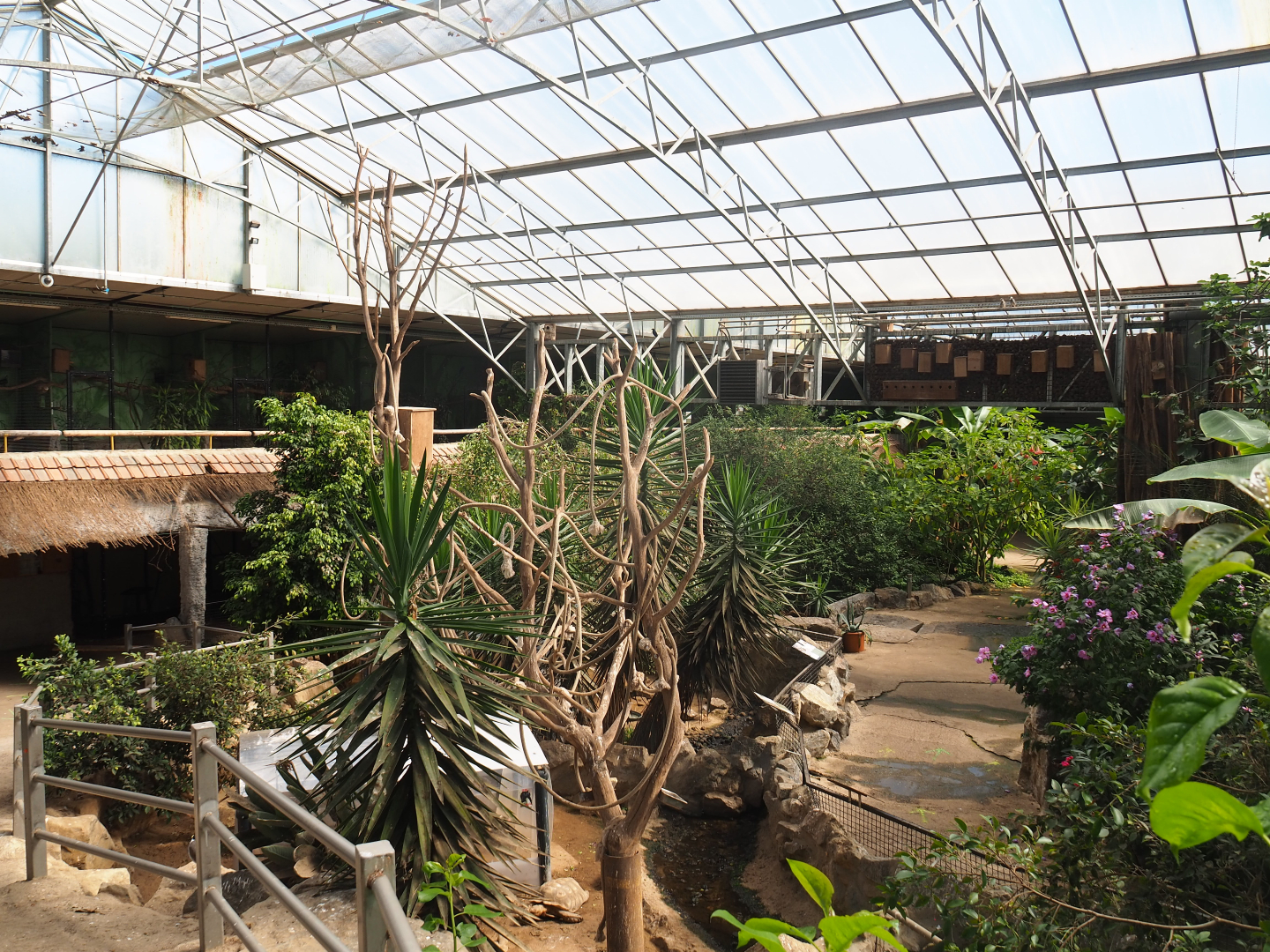 View in the tropical hall, 2020-06-20