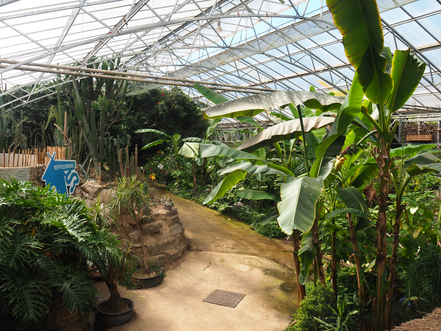 View in the tropical hall, 2020-06-20