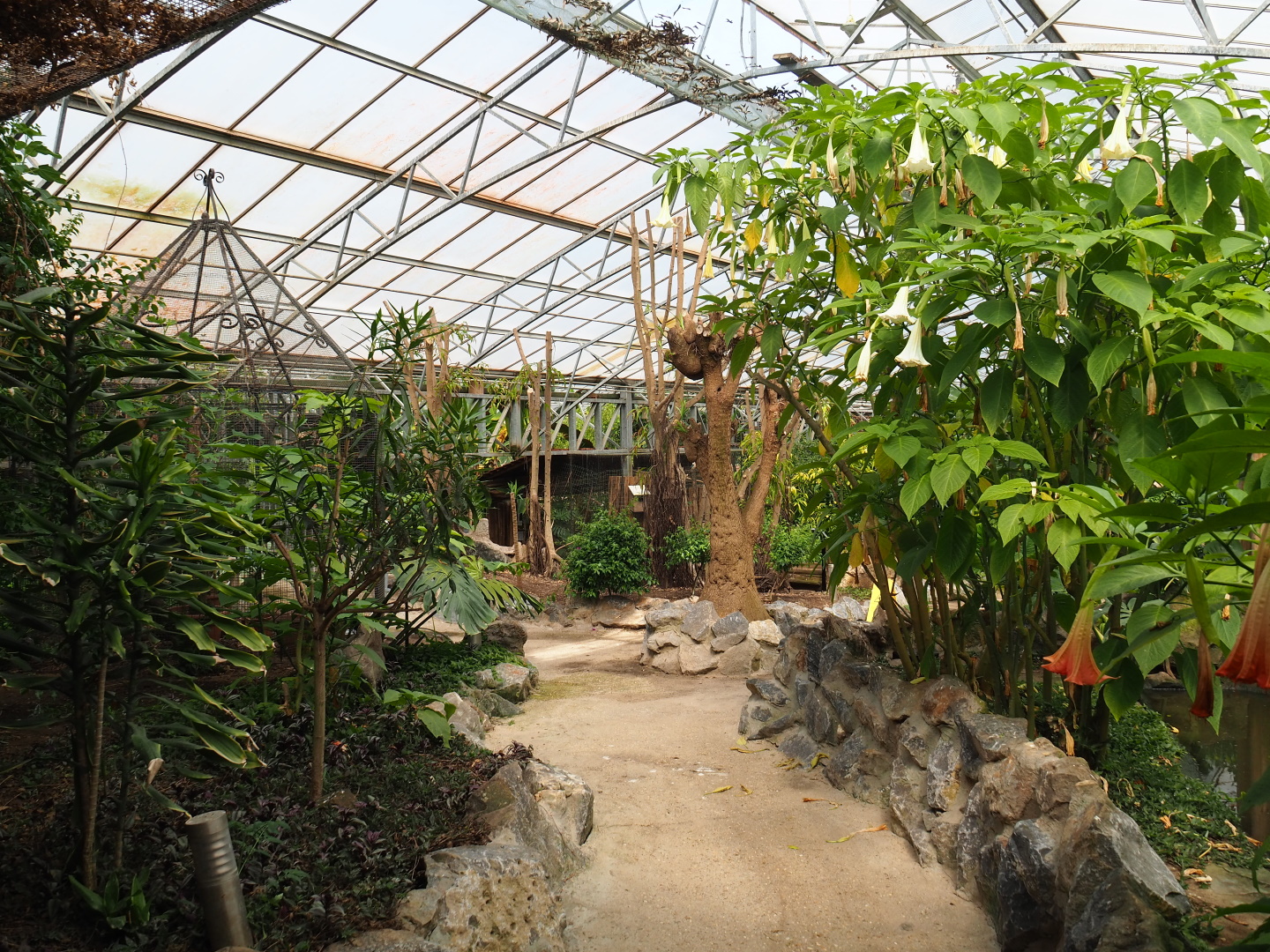 View in the tropical hall, 2021-06-15
