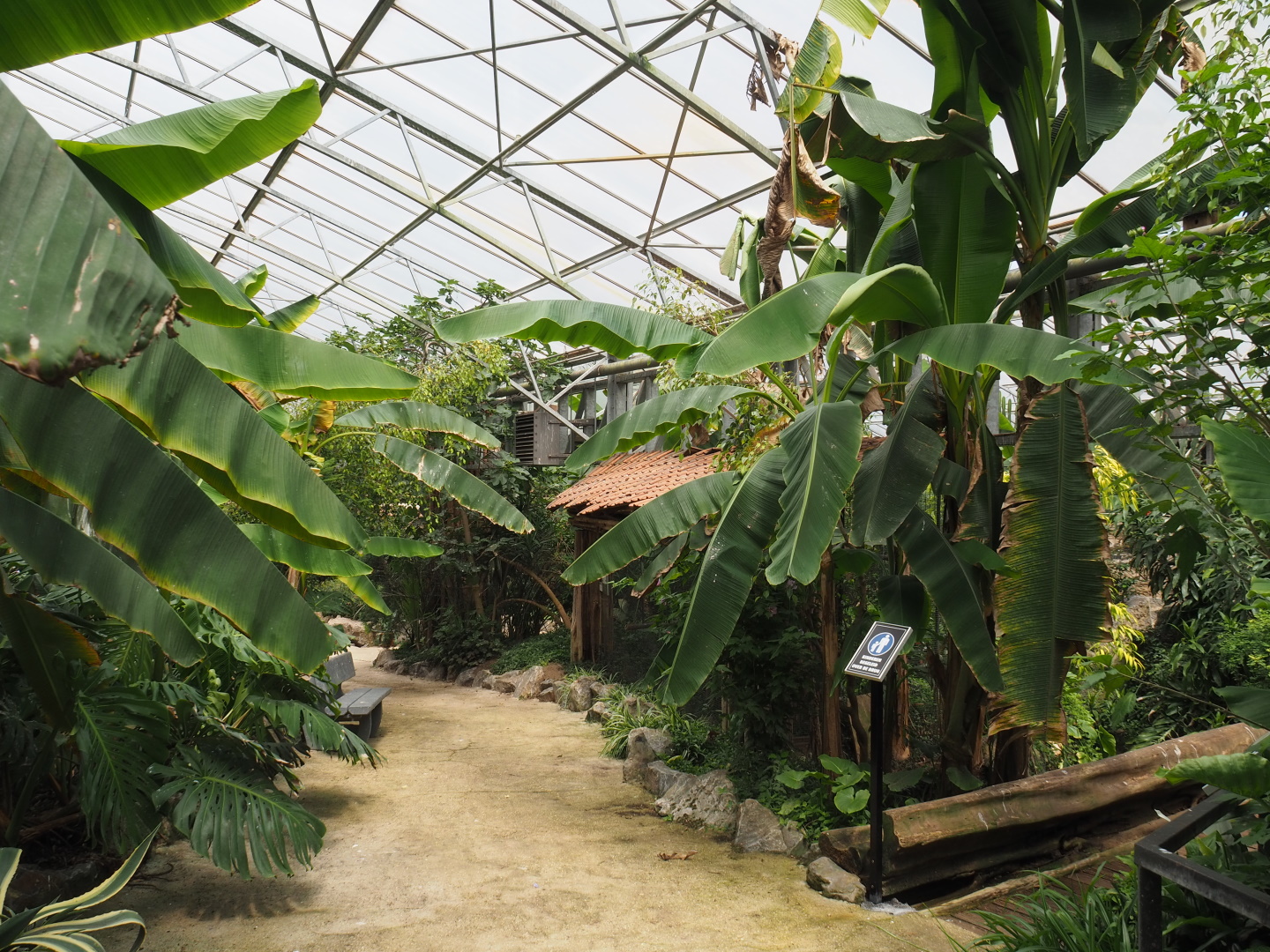 View in the tropical hall, 2021-06-15