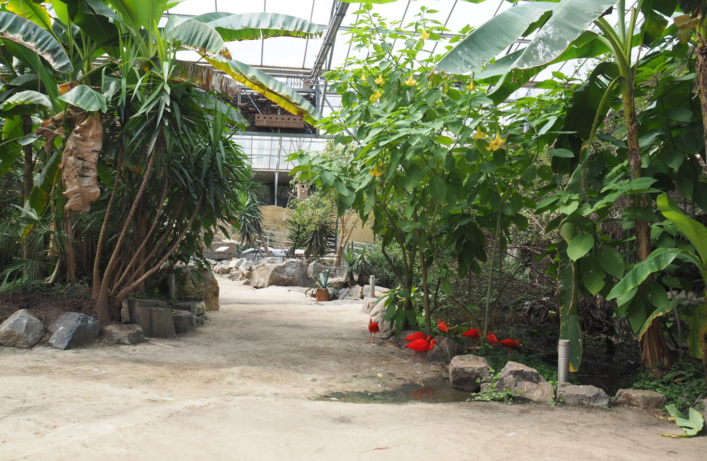 View in the tropical hall, 2021-06-15
