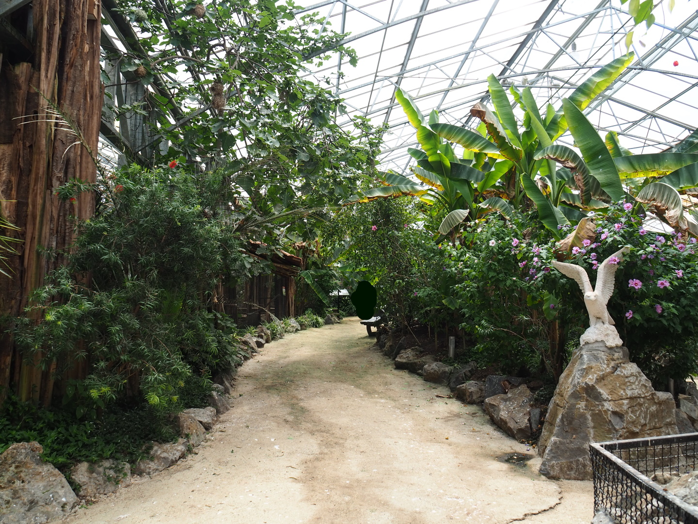 View in the tropical hall, 2021-06-15