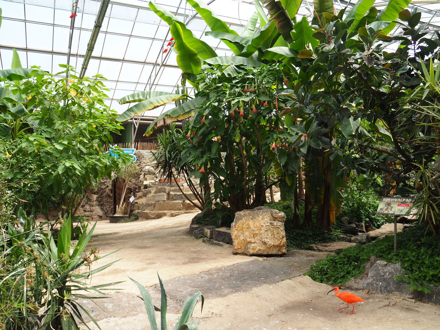View in the tropical hall, 2021-06-15
