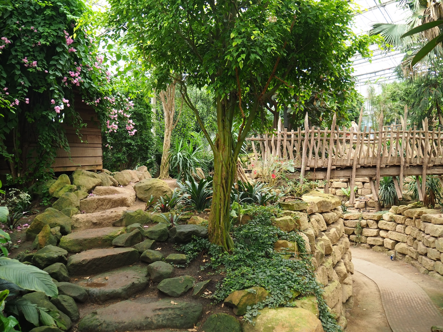 View in the Tropical hall (Aug 28th, 2018)