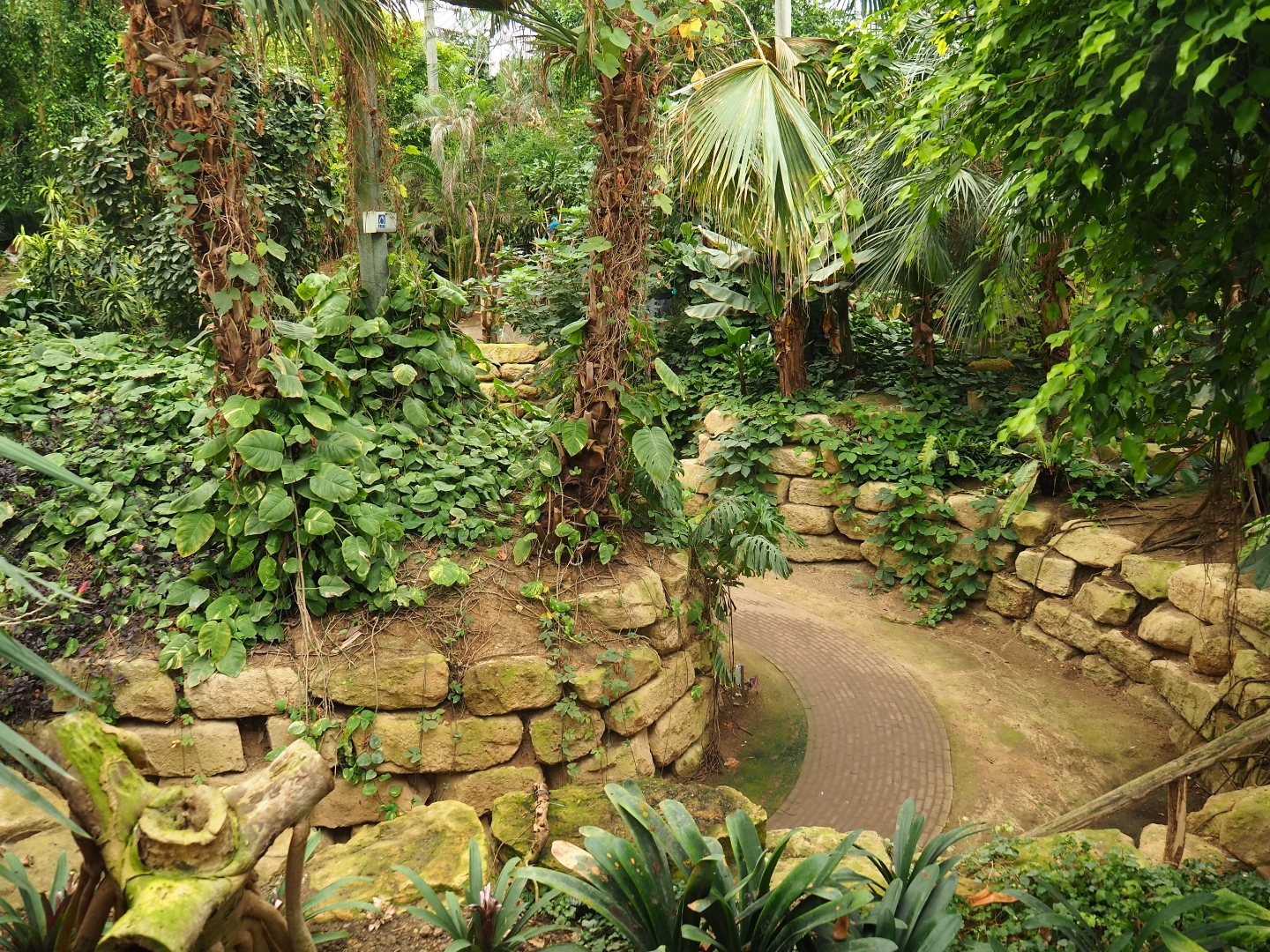 View in the Tropical hall (Aug 28th, 2018)