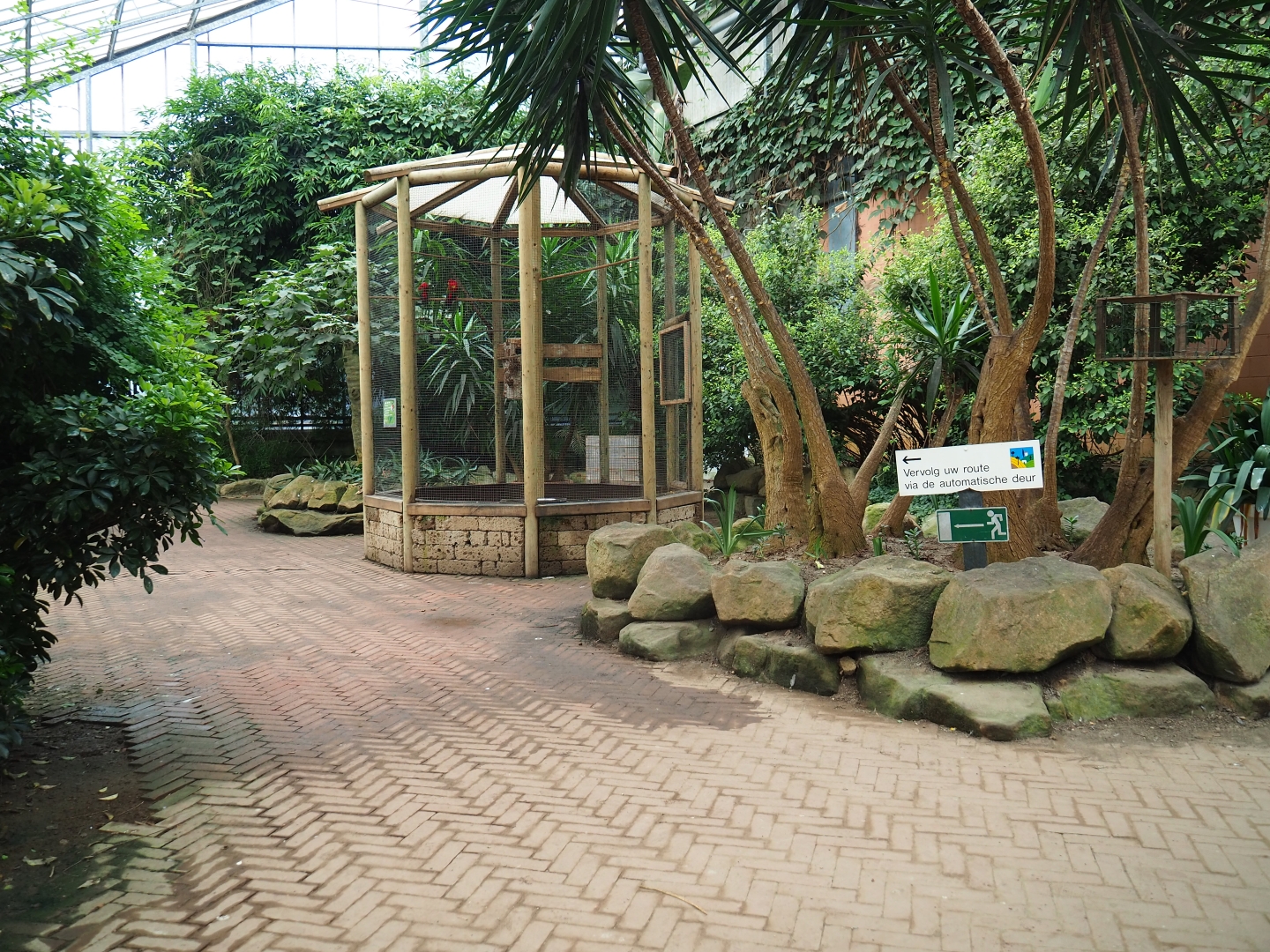 View in the Tropical hall (Aug 28th, 2018)