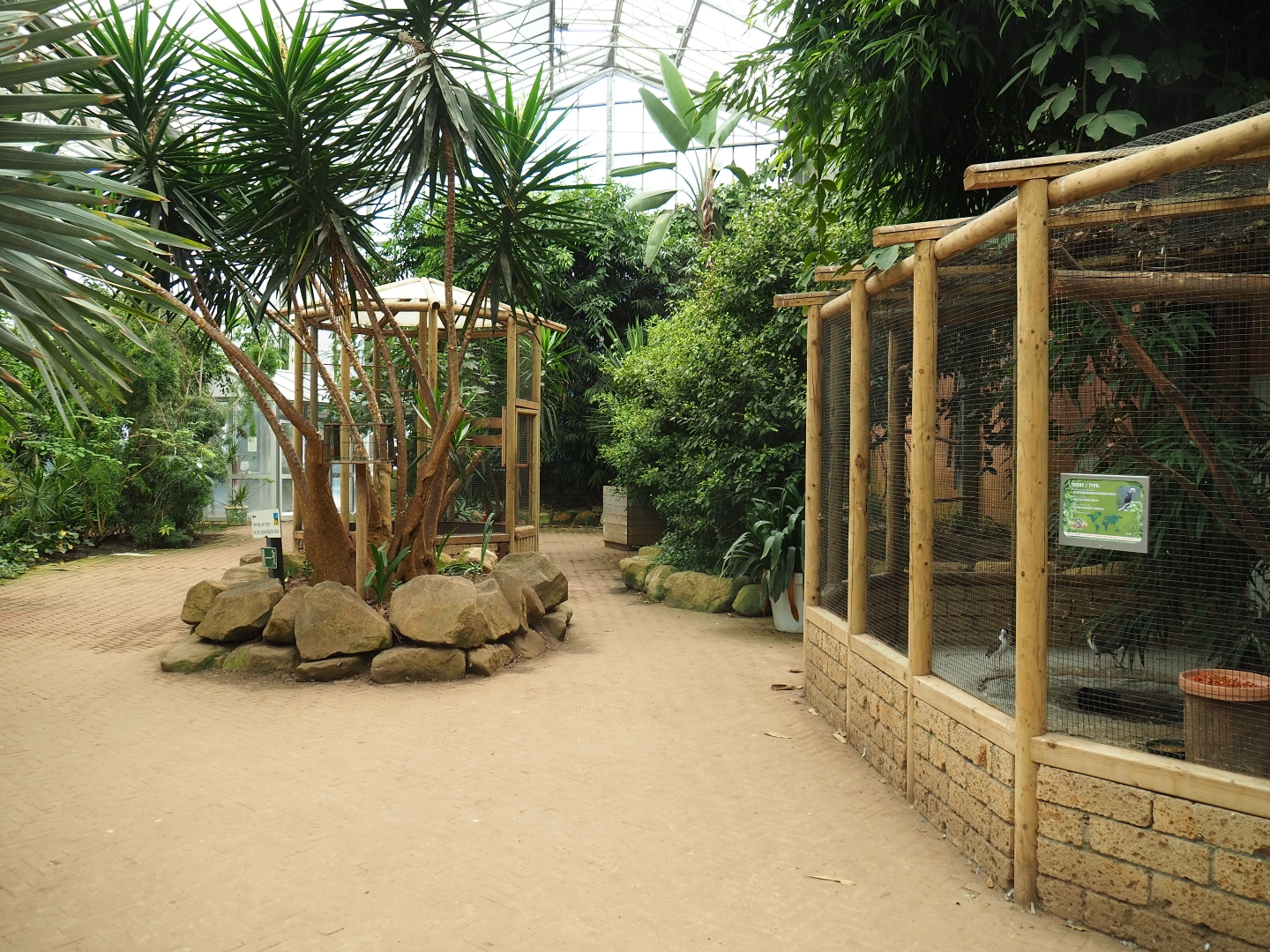 View in the Tropical hall (Aug 28th, 2018)