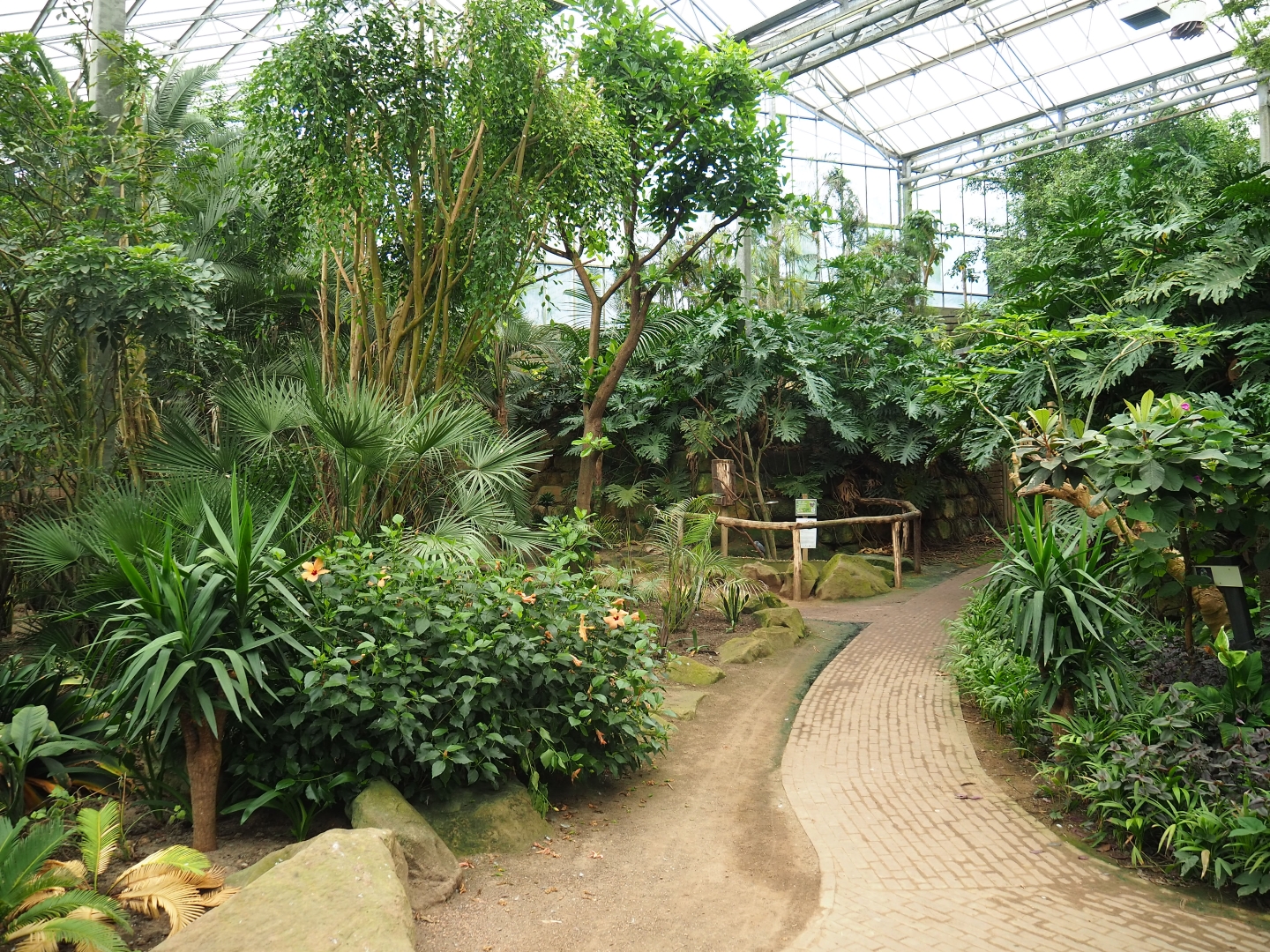 View in the Tropical hall (Aug 28th, 2018)