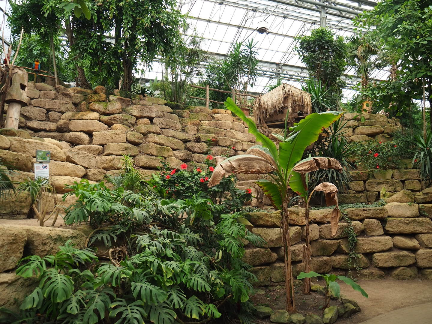 View in the Tropical hall (Aug 28th, 2018)