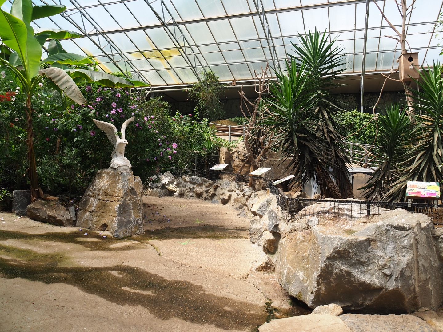 View in the tropical hall near the tortoise paddocks, 2020-06-20