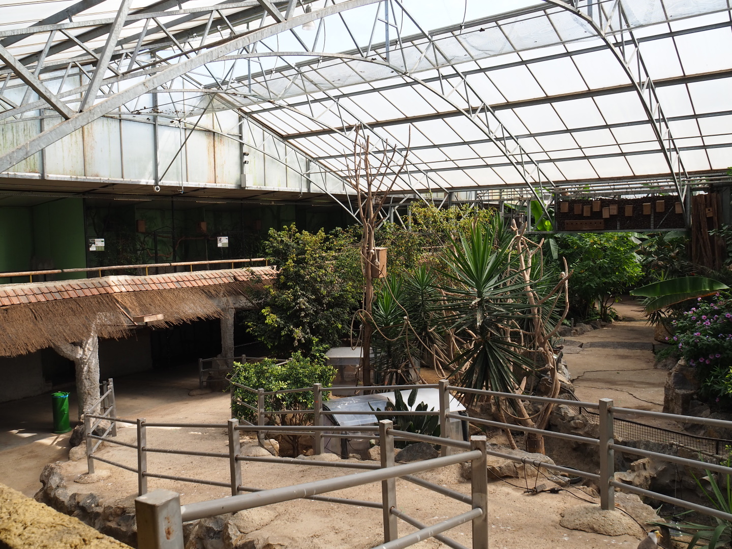 View in the tropical hall with tortoise exhibits, pathway to upper level and upper level with aviaries, 2021-06-15