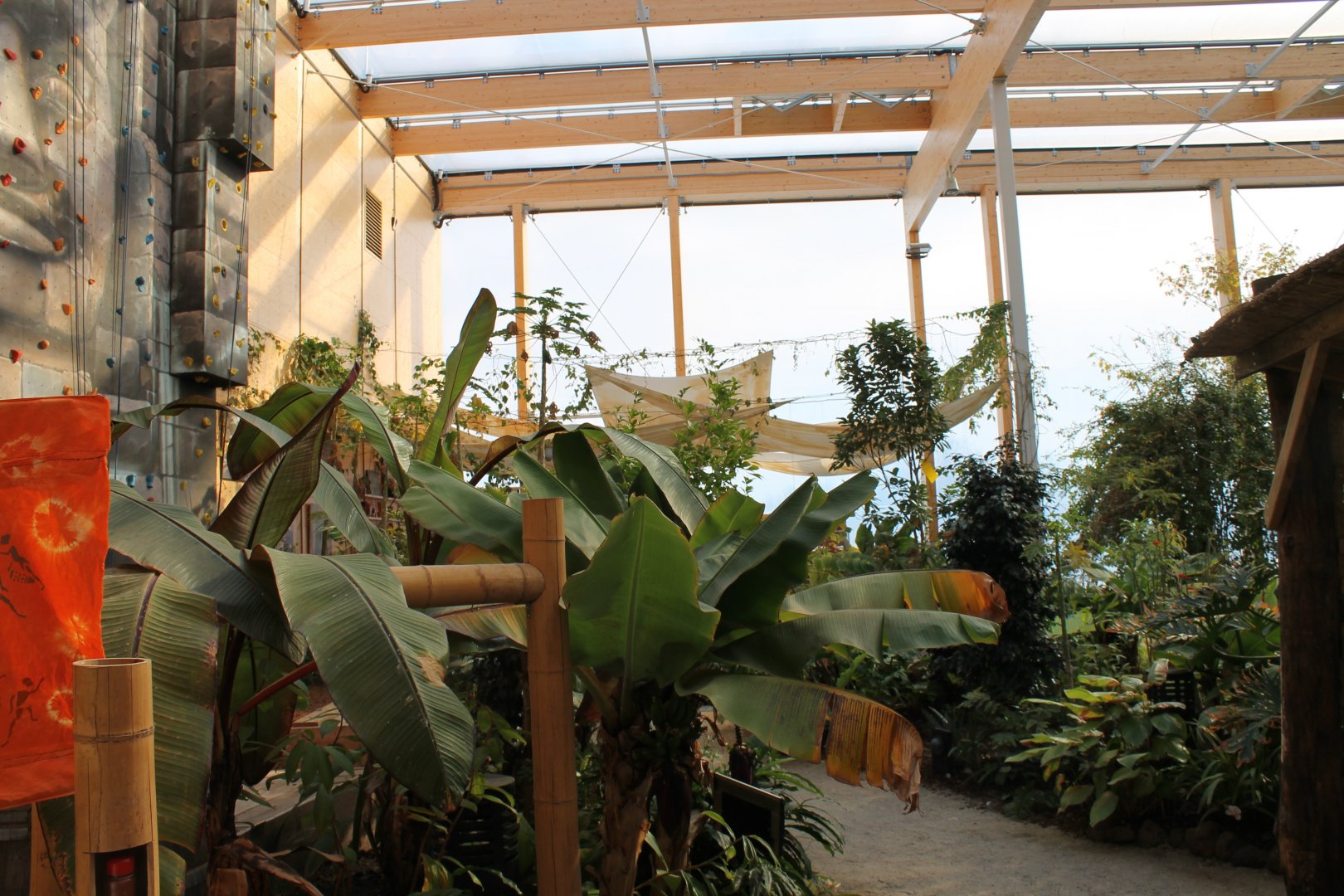 View in the Tropical Hall