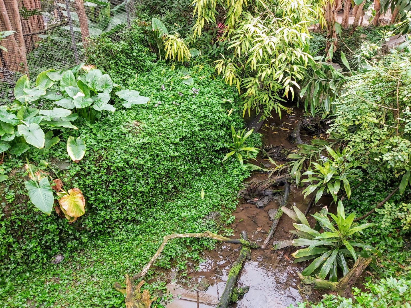 View in the Tropical Hall