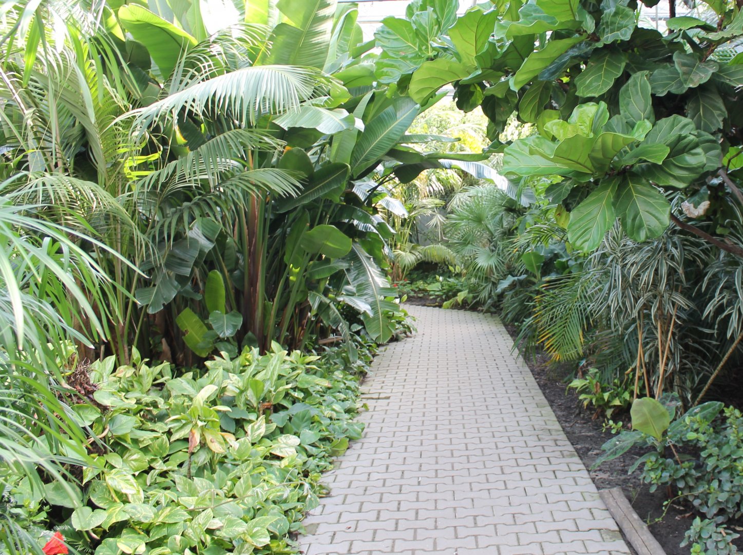 View in the Tropical House