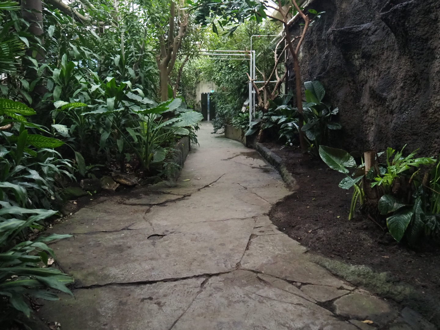 View in the tropical wing (Nov 10th, 2018)