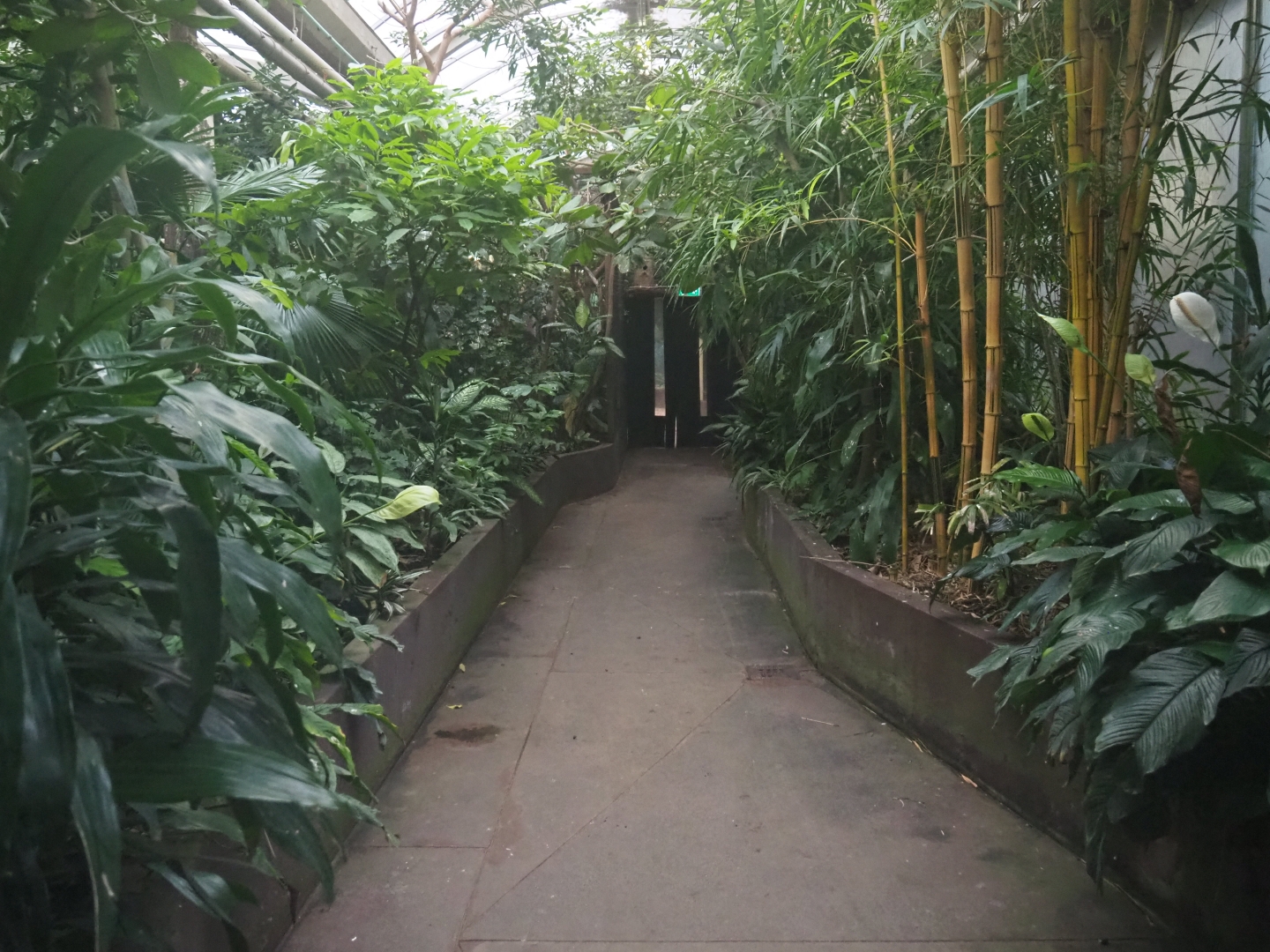 View in the tropical wing of the Rivierahal (Nov 10th, 2018)