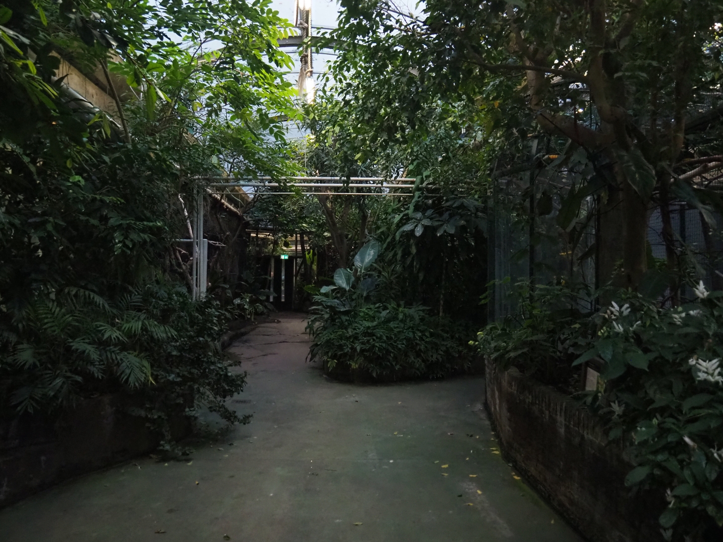 View in the tropical wing of the Rivierahal (Nov 10th, 2018)