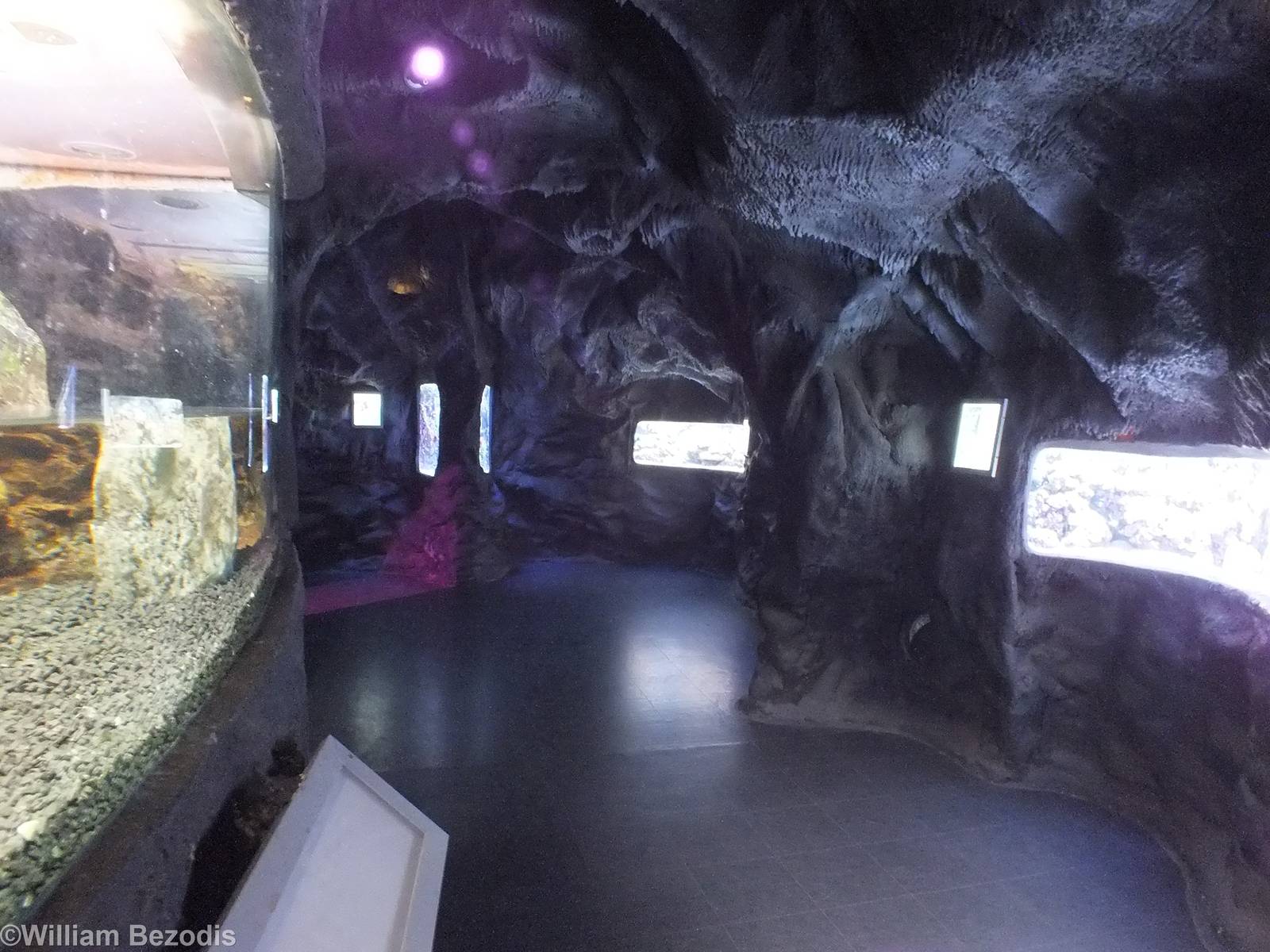 View in the Upstairs Area