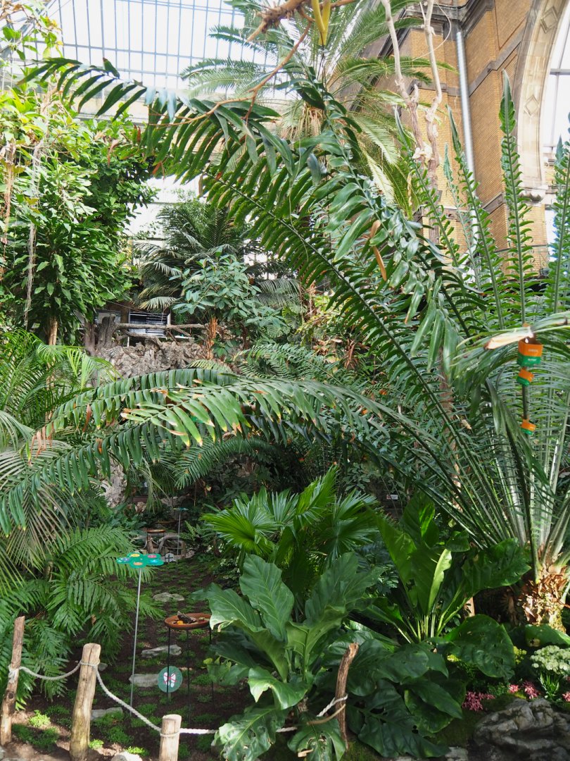 View in the Winter Garden, 2022-03-16