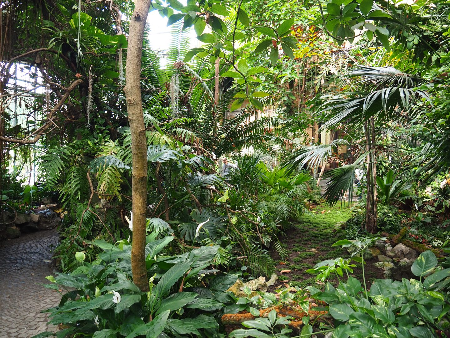 View in the Winter Garden and seasonal butterfly exhibit, 2022-05-26