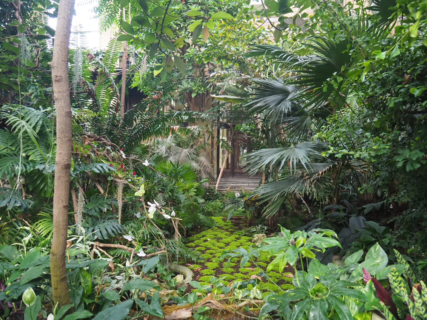 View in the Winter garden/Butterfly house, 2020-06-28