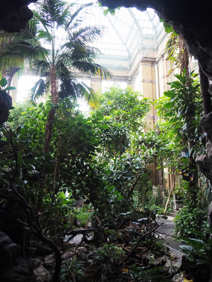 View in the Winter garden/Butterfly house, 2020-06-28