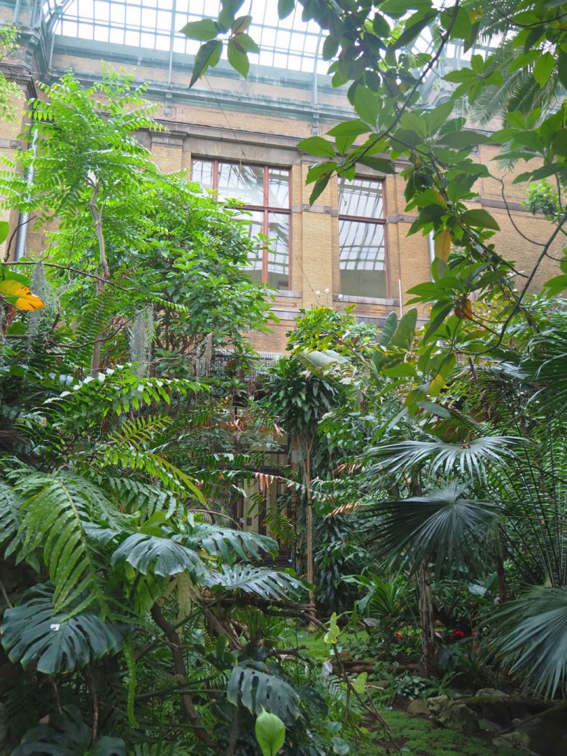 View in the Winter garden/Butterfly house, 2021-06-12