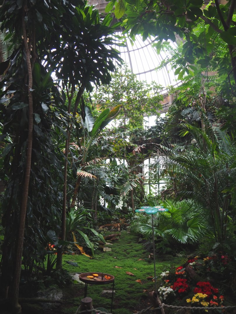 View in the Winter garden/Butterfly house, 2021-06-12
