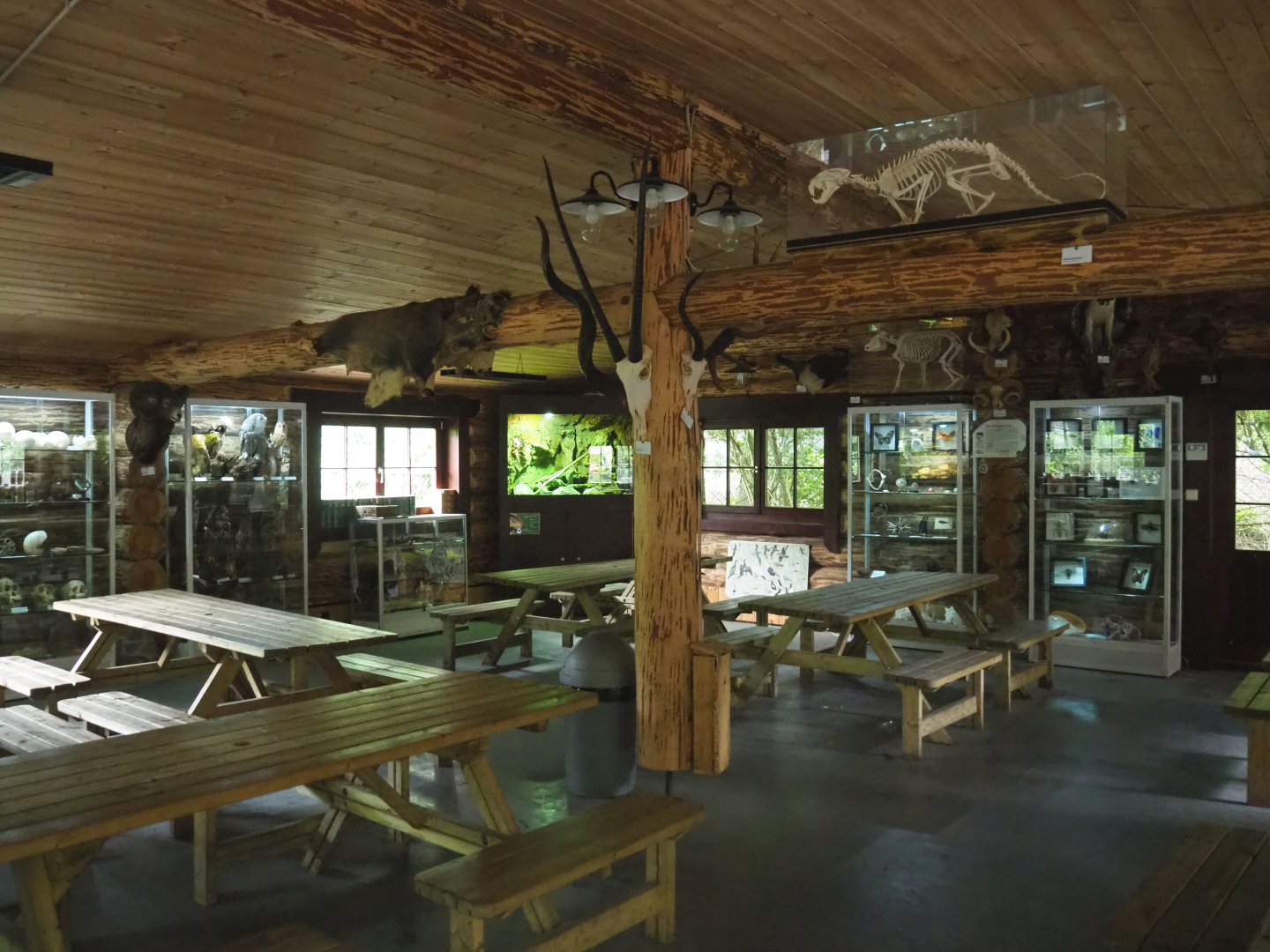 View in the Zie-Zoo College, 2022-05-17