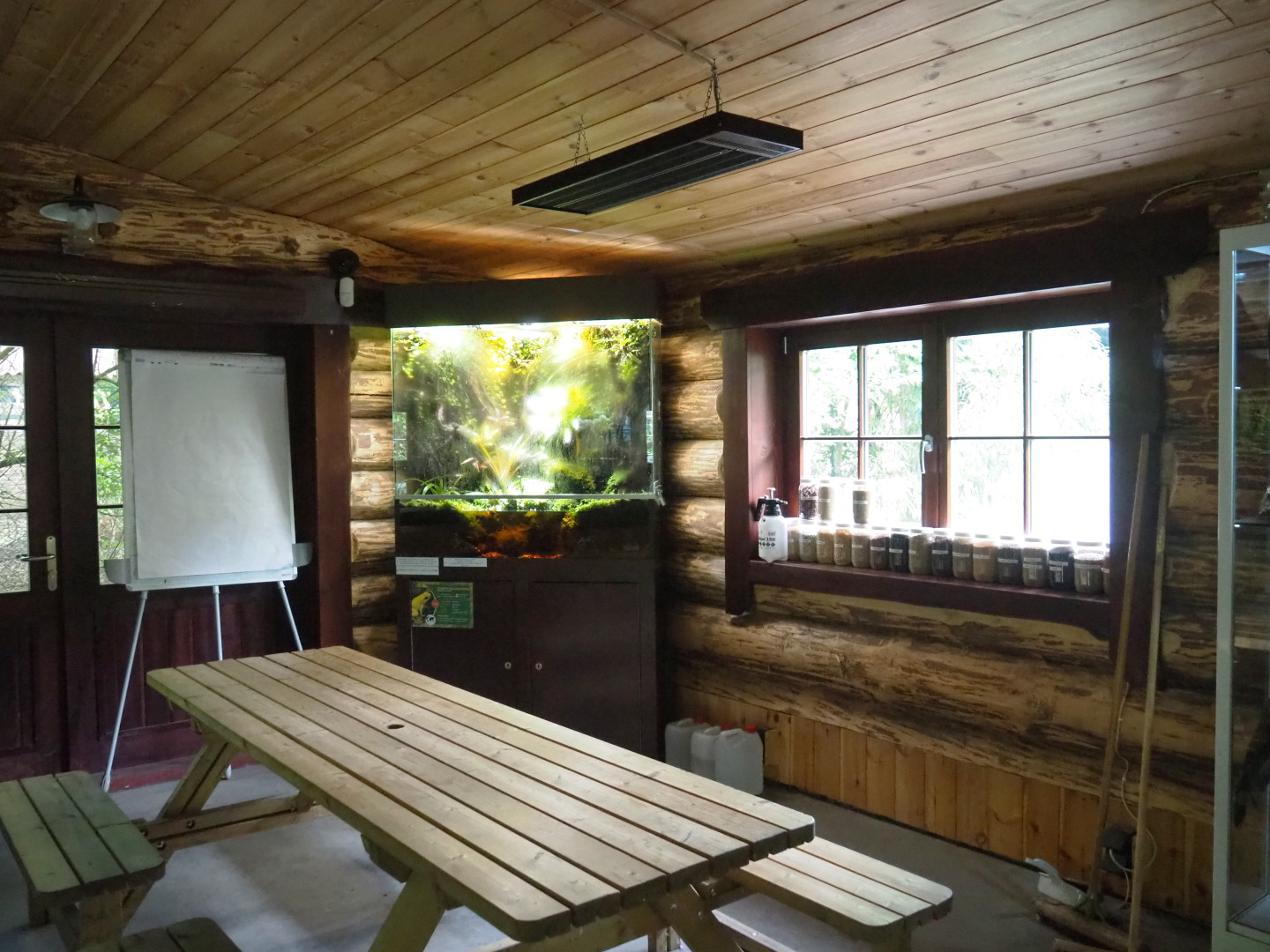 View in the Zie-Zoo College, 2022-05-17