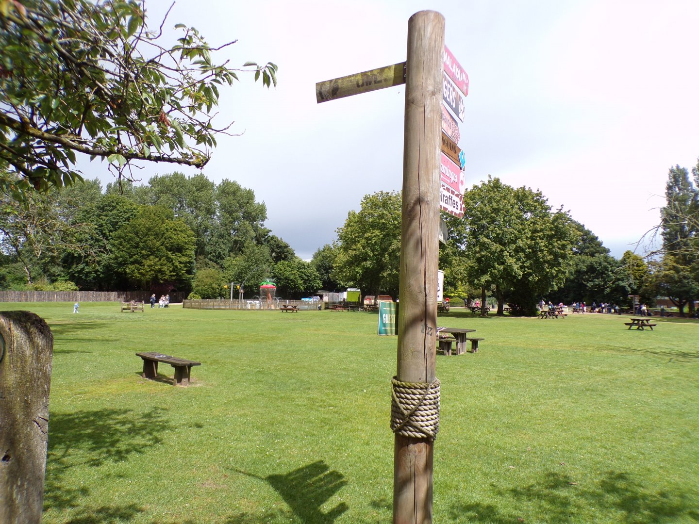 View in the zoo 7.7.24