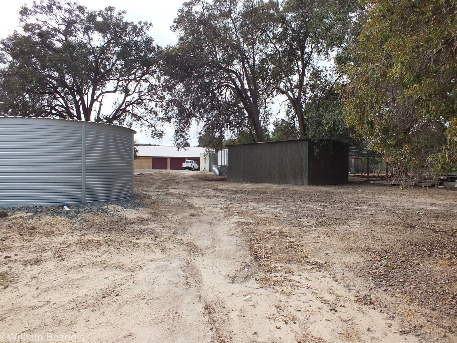 View in the Zoo - Cohunu Koala Park