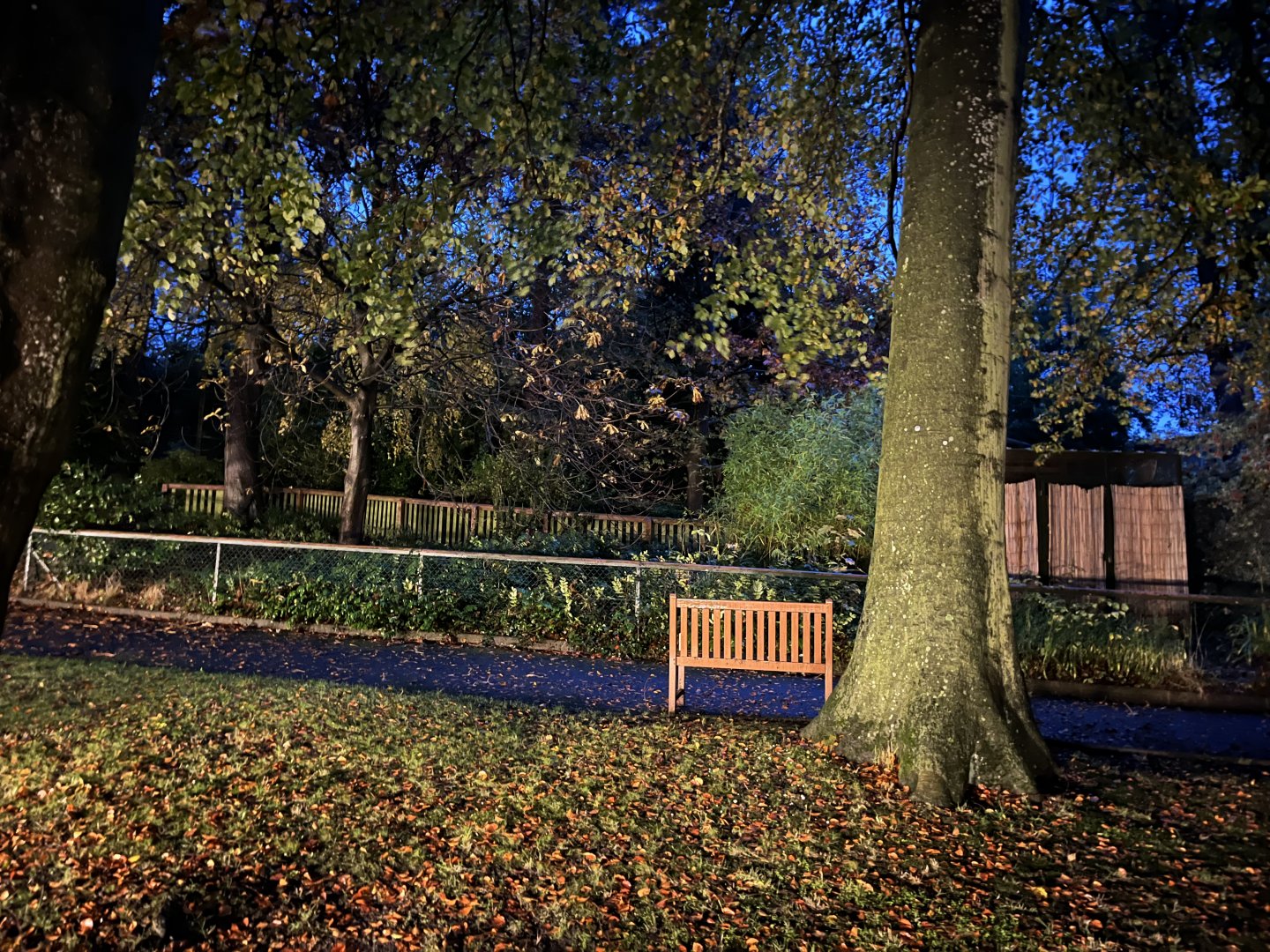View in the zoo in late afternoon 29.10.23