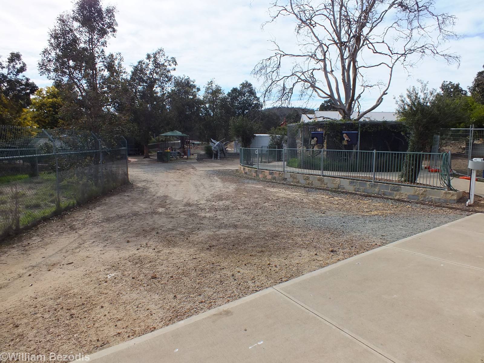 View in the Zoo, showing Stegosaurus! - Cohunu Koala Park