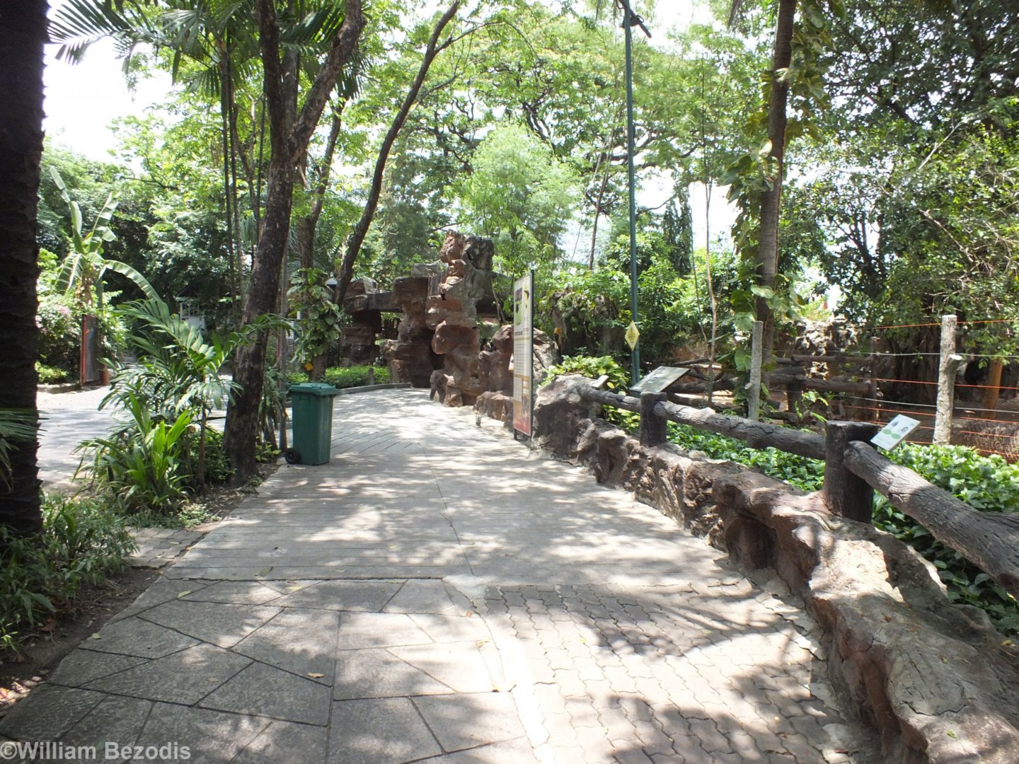 View in the Zoo