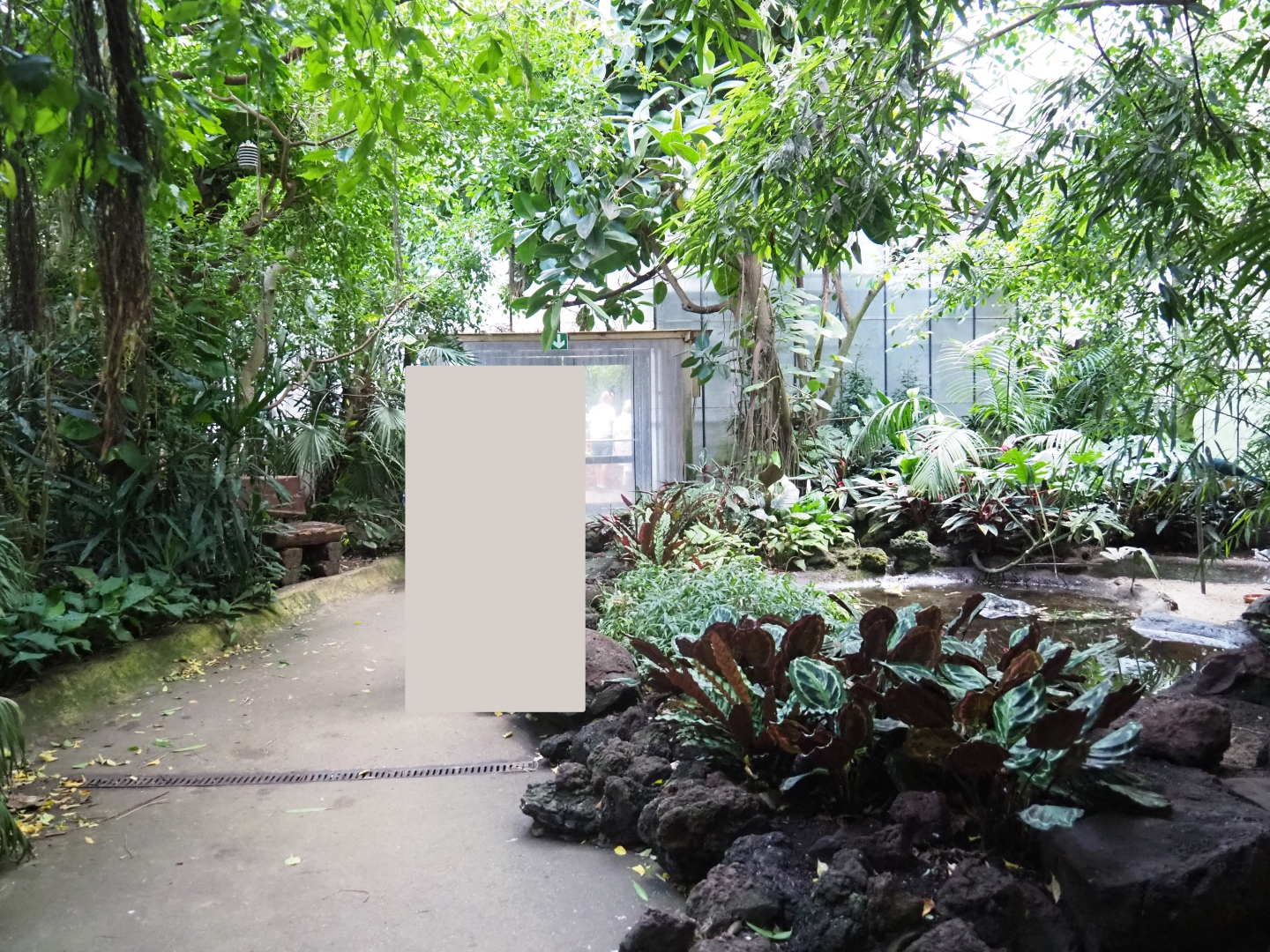 View in third section of tropical hall (Sep 2nd, 2018)